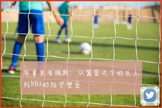 布鲁克洛佩斯：从篮筐之下的巨人到NBA的防守壁垒