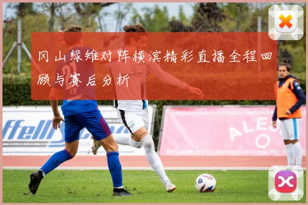 冈山绿雉对阵横滨精彩直播全程回顾与赛后分析