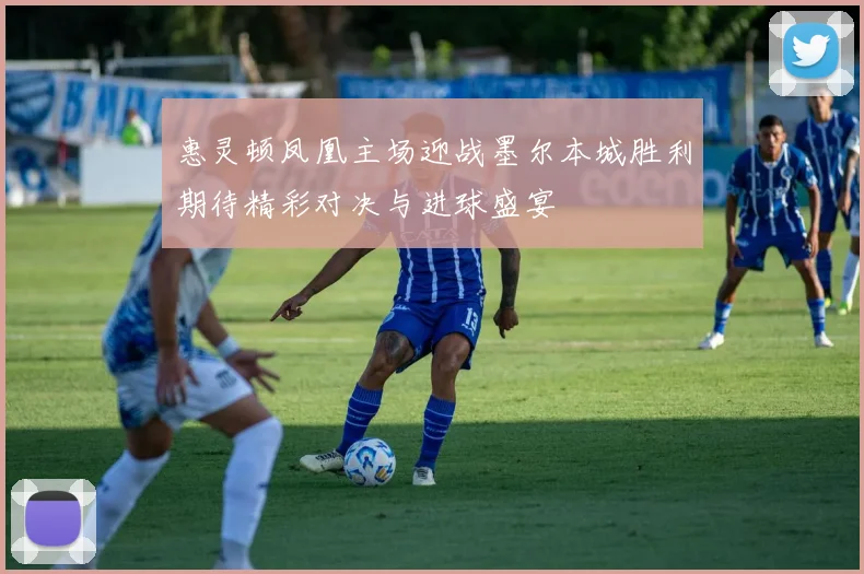 惠灵顿凤凰主场迎战墨尔本城胜利期待精彩对决与进球盛宴