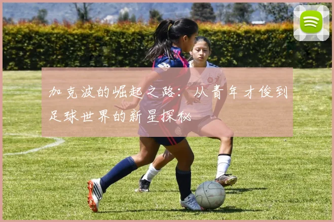 加克波的崛起之路：从青年才俊到足球世界的新星探秘
